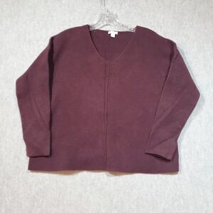 J.Jill Sweater Womens Petite Small Red Cotton Blend Knit V Neck Seamed Pullover